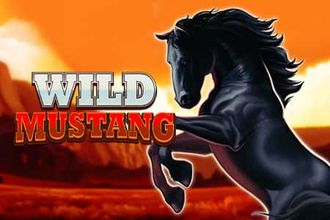 Wild Mustang
